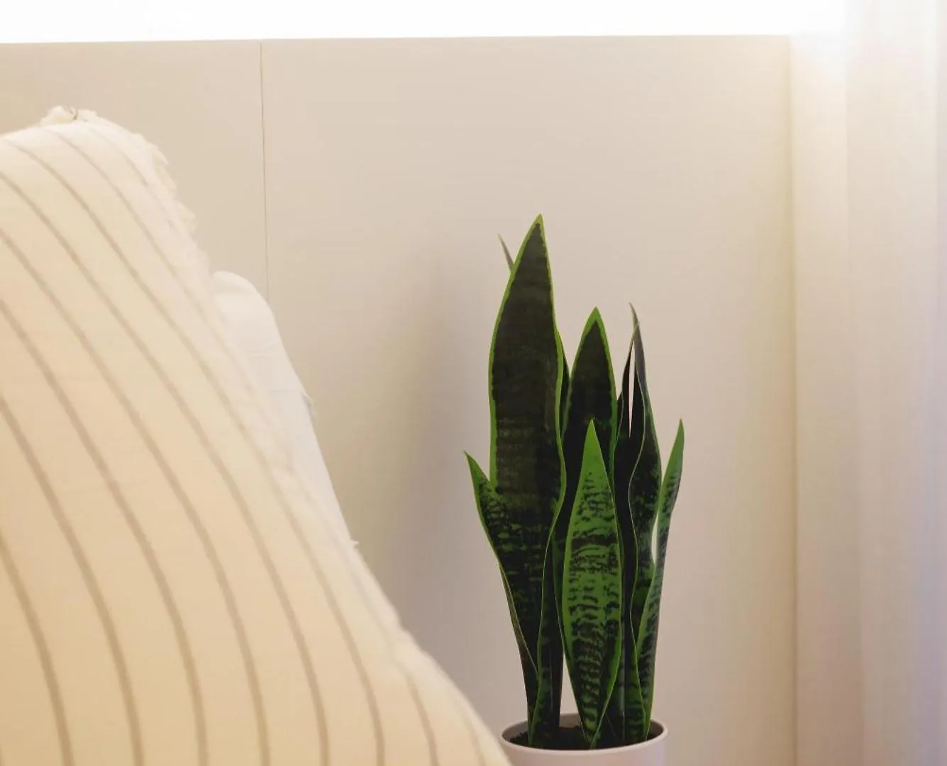 Lägenhet Bravissimo Pou Rodo, 2-Bedroom And Bike Friendly Girona Spanien